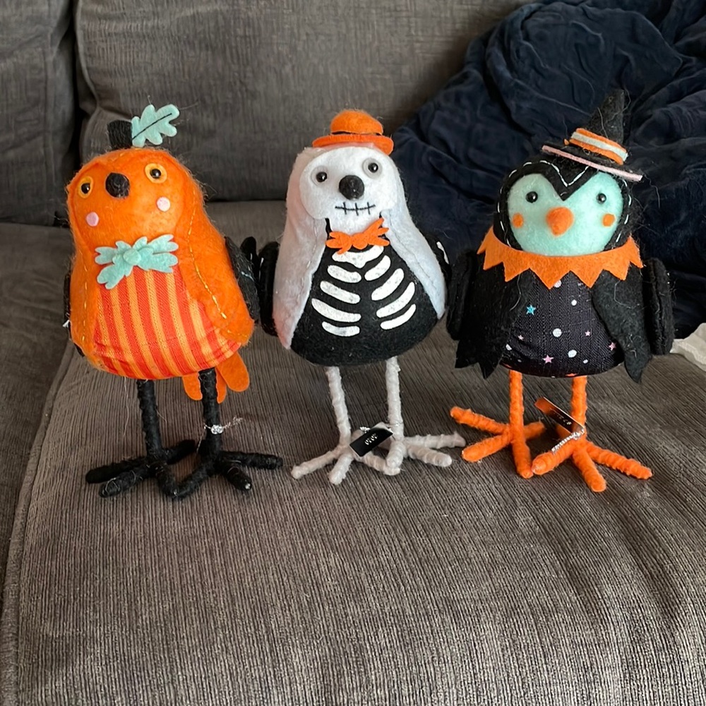 Target birds fall 2020